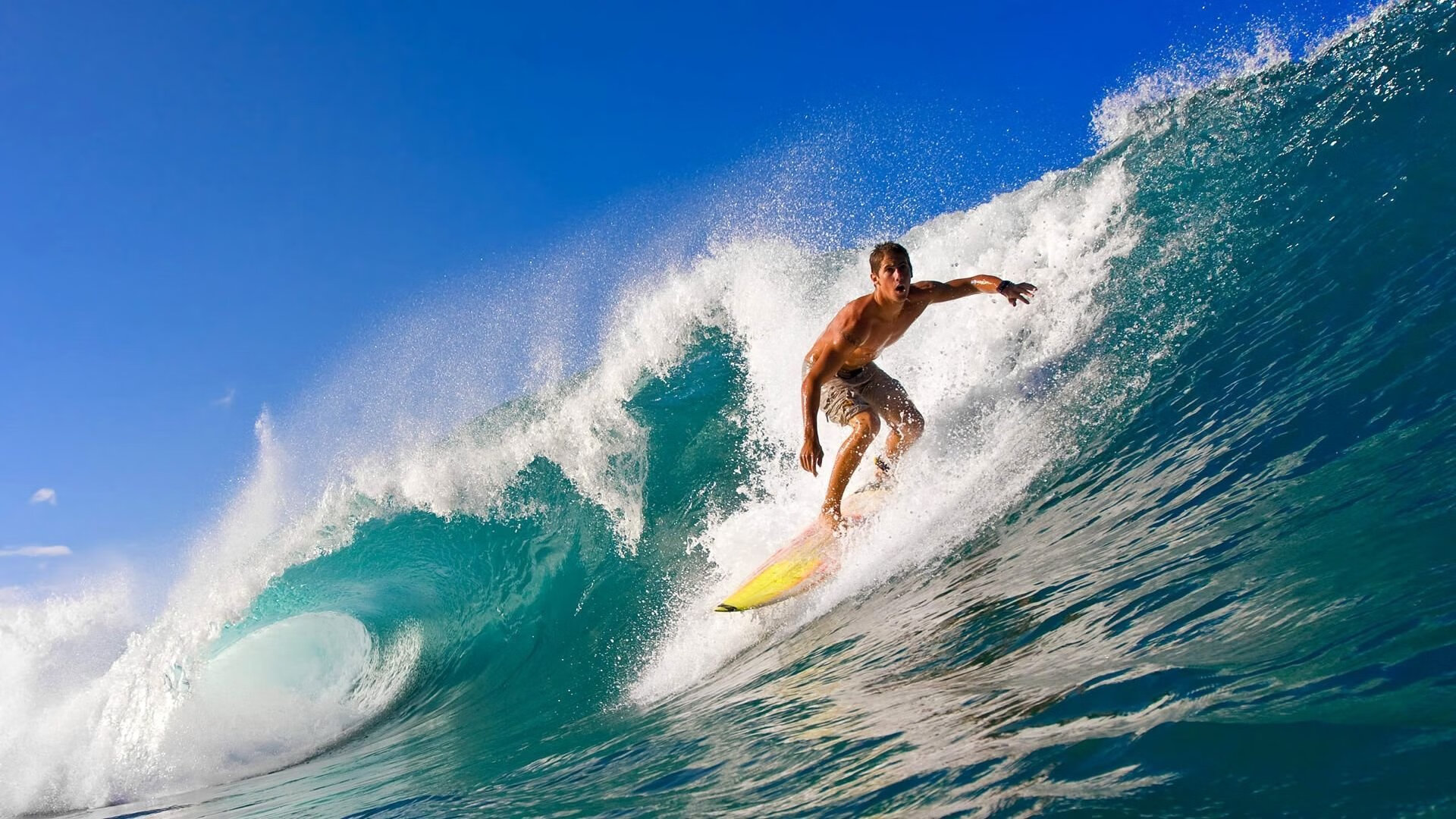 联盟是否应推动球员创业成果展示计划